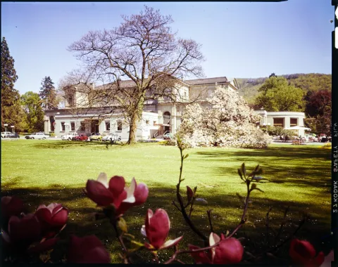 Baden, Kurpark mit Kursaal