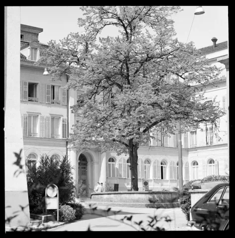 Hotel Verenahof mit Linde 
