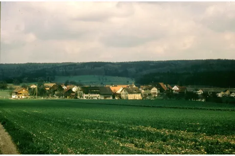 Dorfansicht, vom Galgenbuck aus