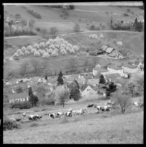 Höhenweg, Blick gegen Ehrendingerstrasse