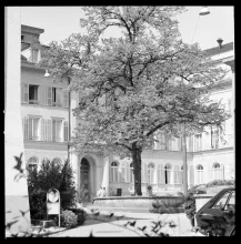 Hotel Verenahof mit Linde 