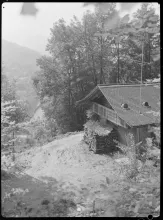 Meriantrotte